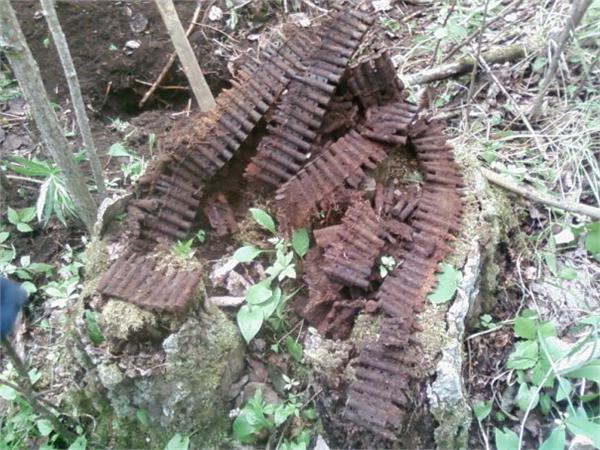 просто мечта...