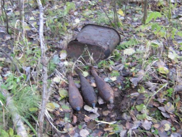 Пошло в Костер