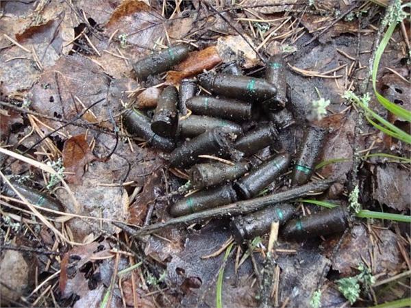 Пули отличных сохран