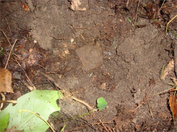 Бляха при находке 3 рейх