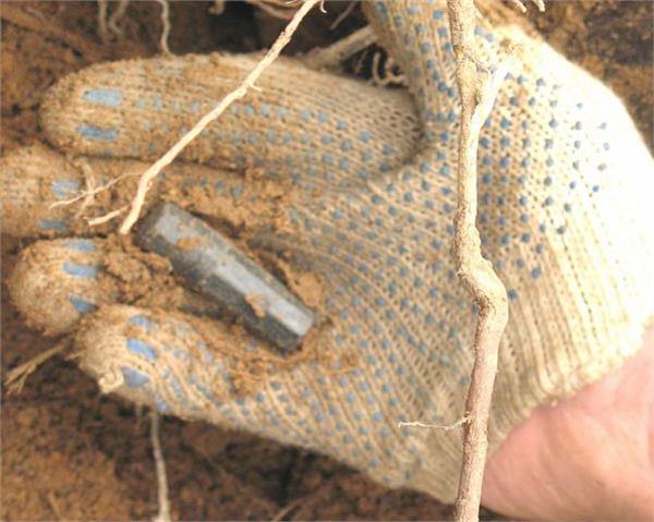 был пустой...