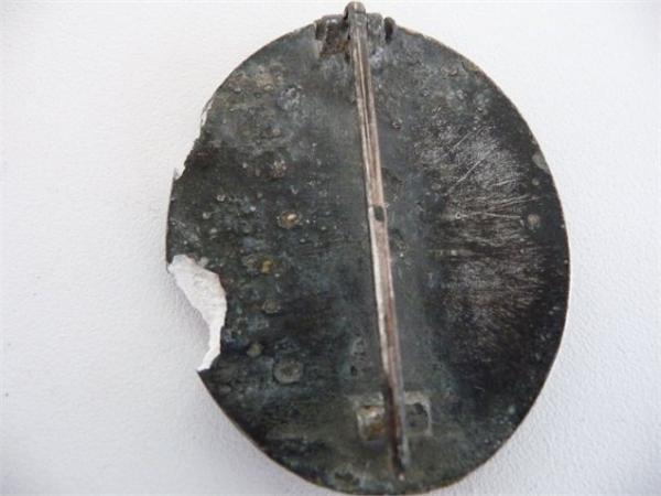 Уставшая раняха в серебре