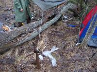 с.Гусаровка