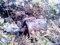 ВПГС 41 Состояние не очень( пришлось оставить 