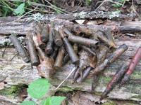 окисл Патроны