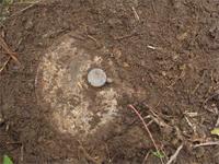 Немецкая противотанковая мина ТМИ-35