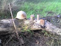 это был мой Первый Раз=)