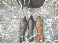 это тоже в Костер)