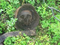 Опять останки...Фрица