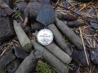 ЗА Отвагу №590210