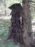 Старый Бригадир забыл)ЫЫЫ