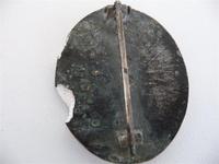 Уставшая раняха в серебре