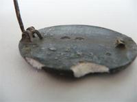 Уставшая раняха в серебре