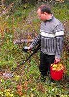 тут главное от грибницы клюшку отстроить!