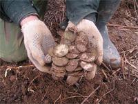 Иркутск и уже 2 клад подрят, но уже нашел знакомый