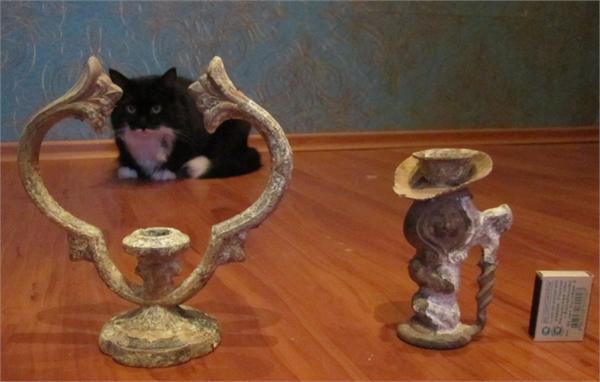 Котэ все палит