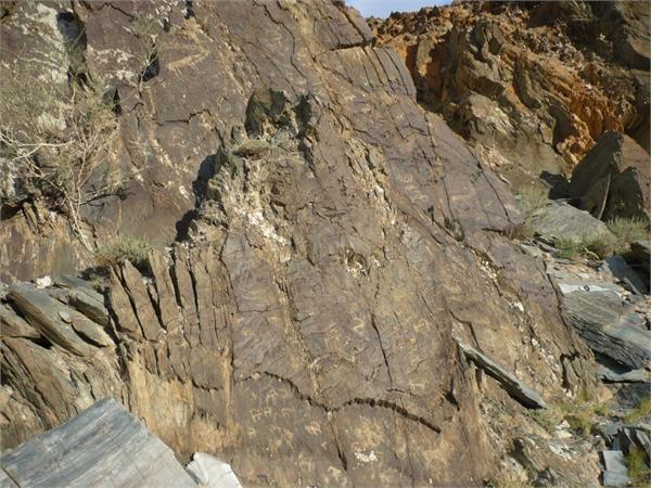 Наскальная летопись охотников