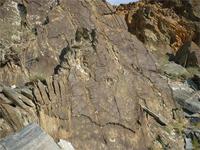 Наскальная летопись охотников