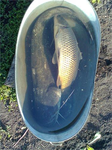 ночной улов