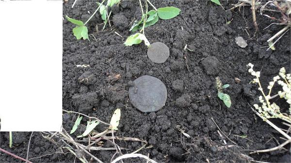 Рязанская губерния