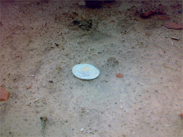 Иногда денежки лежат вот так,на виду,на осушенных речных разливах,но вода и солнце убивают сохран до нуля...