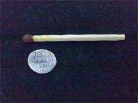 Первая чешуйка.