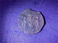 Радость моя и печаль - первая Сибирюшка за год поиска,и в таком качестве!Эх ма!