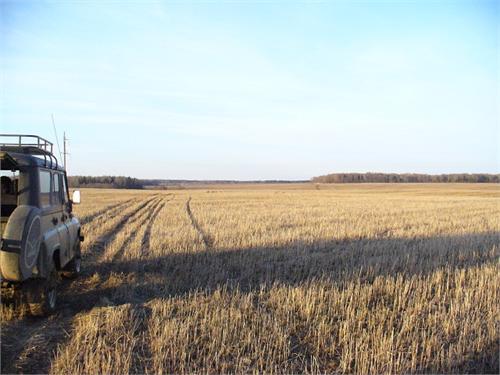 Просторы земли Вологодской