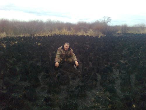 Берег протоки