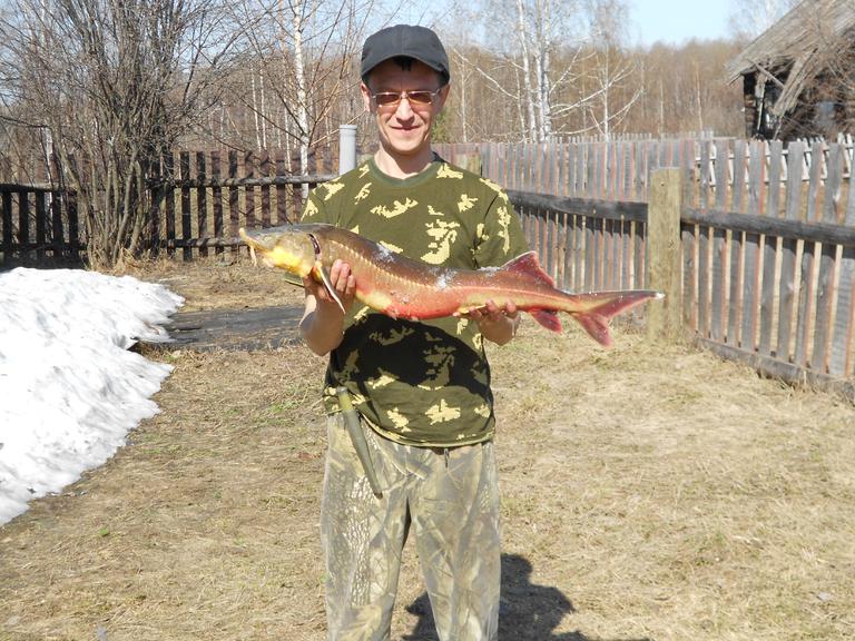 Рыбалка - Апрель 2012