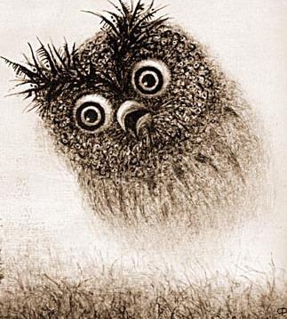 Ух-Ты..!!кто это тут ямок столько нарыл..??