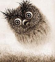 Ух-Ты..!!кто это тут ямок столько нарыл..??