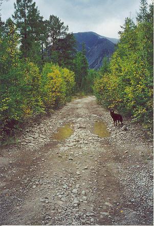 Путешествие вокруг Байкала (27)