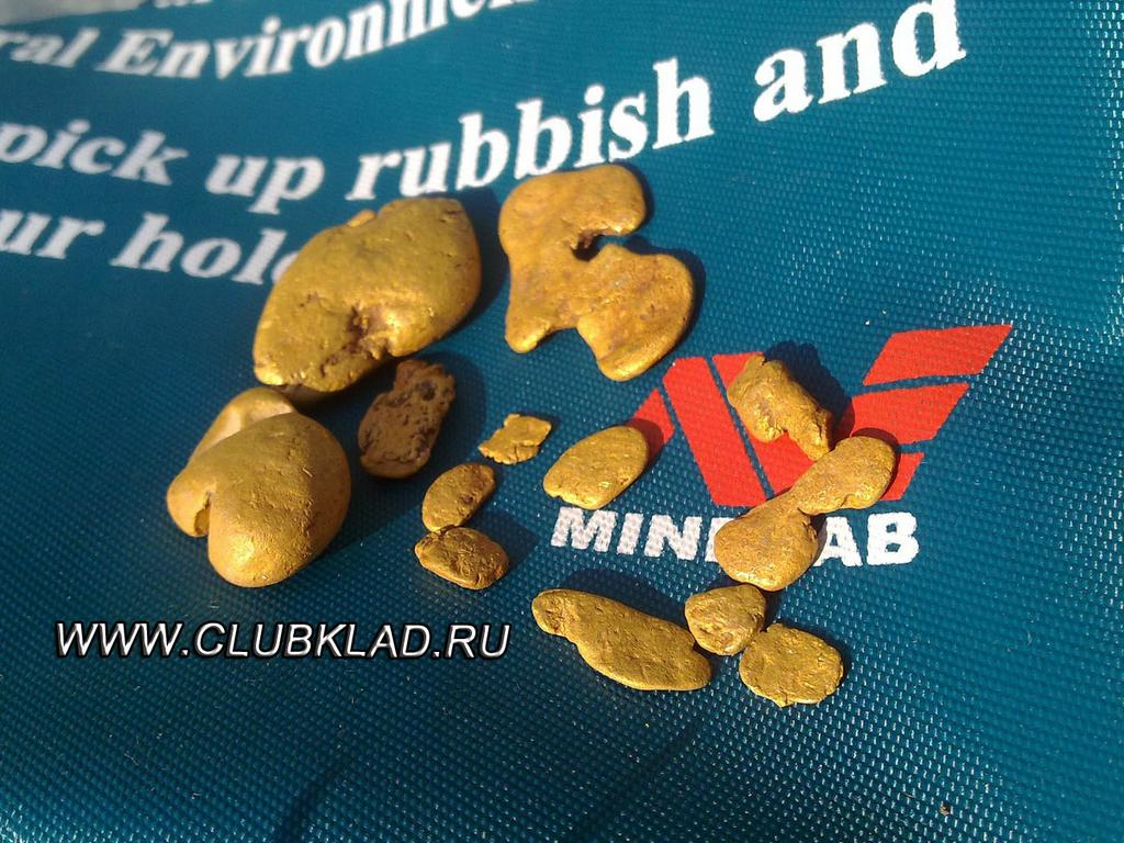 Золотые самородки найденныей металлоискателем (1)