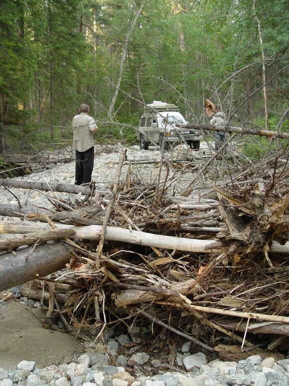 Дорогу перегораживали деревья, упавшие при весеннем паводке