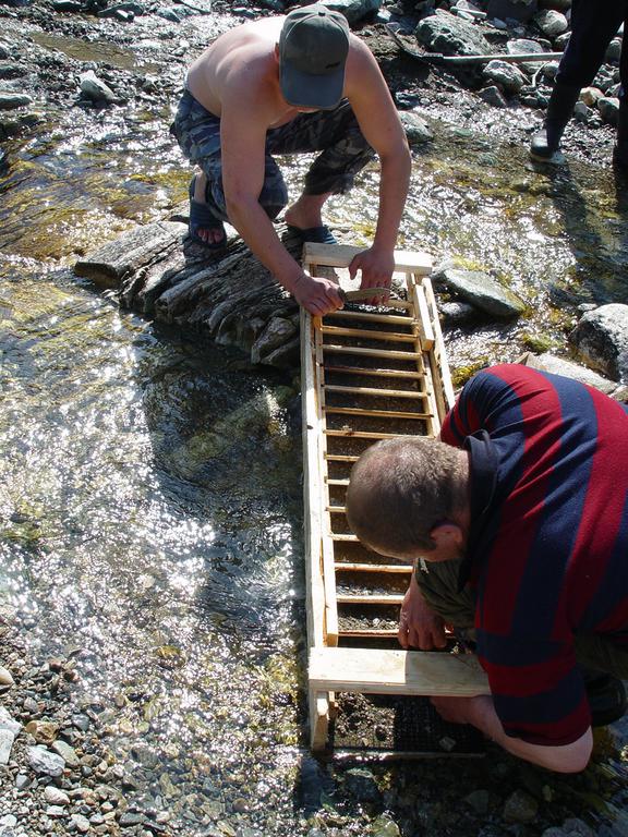 Хорошо видна конструкция проходнушки  Рифели и на дне резиновые ячеистые коврики