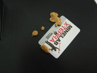 Небольшие самородки найденный металлоискателем X-Terra 705. ГЕО режим X-Terra 705 позволяет находить и более мелкие самородки, которые являются основной приметой в поиске богатого самородкового гнезда или жилы. 