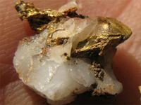 Рудное золото с кварцем.