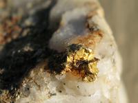 Рудное золото с кварцем