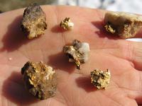 Самородки найдены металлоискателями E-Trac, X-Terra 705/