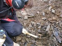 Достаем самородок из рыхлого плотике. Отработанный полигон. 