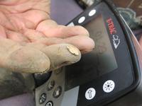 Небольшой самородок найденный металлоискателем E-Trac в сильно минерализоанной почве. Даже я был удивлен, что E-Trac смог находить такой мелкие самородки. Сигнал четкий, показания дискриминатора 01-29. 
