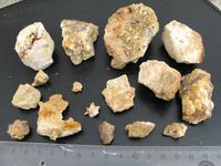 Самородки с кварцем найденные за пару часов на месторождение Штурмовское. Такого богатого золота как в Магадане, я нигде не видел! И теперь верю, когда мне рассказывали, что с помощью металлоискателя самородки собирали ведрами. Здесь это возможно.