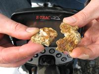 Симпатичные самородки с кварцем, их называют золото-кварцевый агрегат.