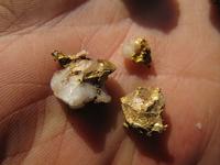 Самородки найдены металлоискателями E-Trac, X-Terra 705, GPX