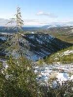 Перевал. Начало сентября.