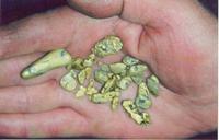 Путешествие вокруг Байкала (11)