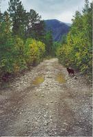 Путешествие вокруг Байкала (27)