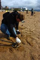 Первые соревнования в России по приборному поиску. г.Санкт-Петербург 29 сентября 2012 (12)