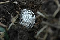 Почему я рою землю. Находка рубль Николая